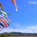 強風を活かして