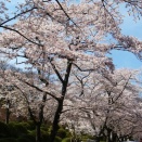 ククリット・プラモート元首相の言葉