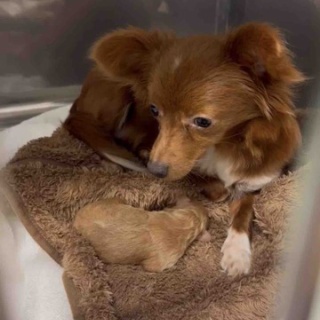 ティアハイムさいたま公式ブログ