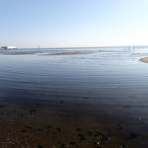 江戸川の畔（ほとり）