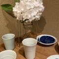 明日から始まります。
