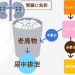 治療と運動｜ATTiVO（アッティーボ）/大阪