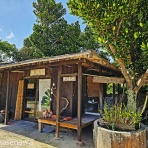 知床と八重山の風景