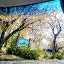 タイヤ交換しました☆の事。