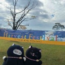 クロは、収穫祭でワインをグビッ🍷＠都農ワイナリー