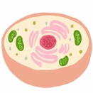 腹八分目は最強説