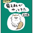 保護猫 菊之助がやってきた【前編】
