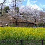 abebi.aa　<abe beat>