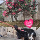🌊海と💧川　貸切だよ✋