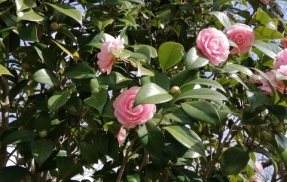 食費が月3万円！？