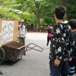 『【横浜・戸塚】田んぼ体験 ～代かき作業～』の画像