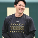 とらほー速報