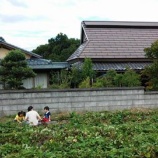 『小さな1歩』の画像