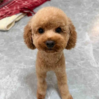 ティアハイムさいたま公式ブログ