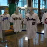 『生きていくのに必死』の画像