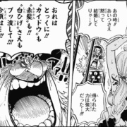 悲報 白ひげ ついに ワンピース 強さ議論1位の座から陥落 最強ジャンプ放送局