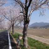 『つくばりんりんロードお花見サイクリング』の画像