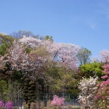 『安行植物振興センター』の画像