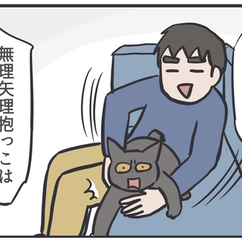 抱っこは嫌なはずなのに