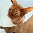 朝の抱っこ渋滞