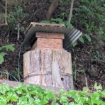 山小屋暮らし