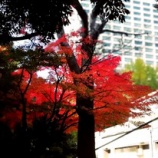 『右脳人会と金運人会のオンラインサロンの様子』の画像