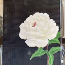 大輪の芍薬を描いた染帯