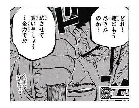 ワンピース ギア5の戦闘描写 読者から大不評wwww ニカニカの速報