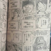 ワンピース 801話ネタバレ 麦わらの一味 懸賞金大幅アップｷﾀ ﾟ ﾟ 画像あり 最強ジャンプ放送局