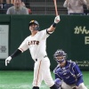 ビヤヌエバのホームラン集見たけど…
