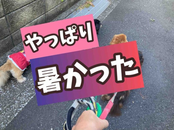 涼しいと思って行ったのだが