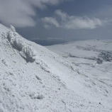 『情報からは得られないもの』の画像