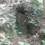 南紀の山のどこかで