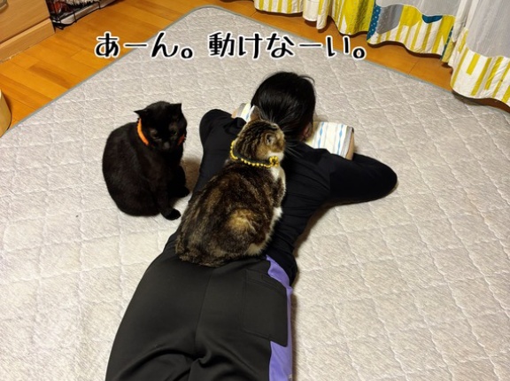 動けない時もあるよね。