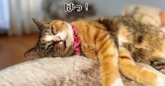 親切と余計なお世話は紙一重