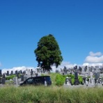 ハイキングさ　あべじゃ