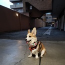 さぁ帰るよっ、、、！