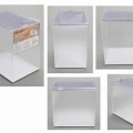 GWセール内容公開第4弾！入れ替わり目玉特価生体（前半）！！