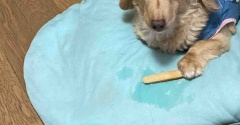 おばちゃん的思考。