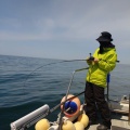 ５月１１日㈪の釣果