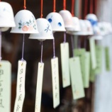 『母の幸せ』の画像