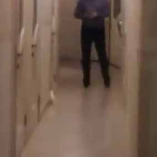 猫の動画 ねこわん！