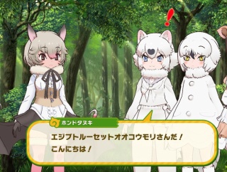 【けもフレ3】最近、ホンドタヌキの出番が多いのだ