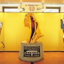 温泉ソムリエ家元が好きな温泉地９１