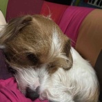 手作り雑貨、アクセサリーそして音楽も素敵【Cocokara】