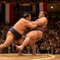 琴櫻の副賞は和牛一頭分！パリ公演総合優勝で贈られた“規格外”の賞品に会場沸く