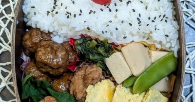 いろいろしたような...高野豆腐が懐かしい～夫のお弁当288