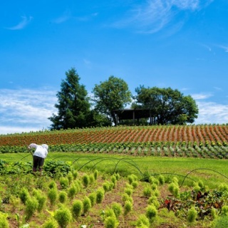 パラノーマルちゃんねる | 2ch怖い話まとめ