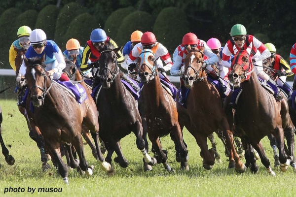 もしカメ ナオキ ｎｏ ぼちぼち 撮影日記 フェノーメノ