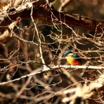 みちくさんぽ♬（人生道草散歩）